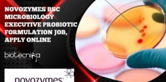 Novozymes BSc Microbiology Executivee