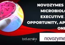 Novozymes BSc Microbiology Executive