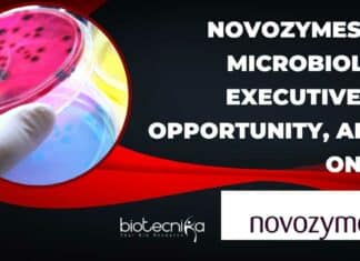 Novozymes BSc Microbiology Executive