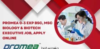 Promea Executive Jobs