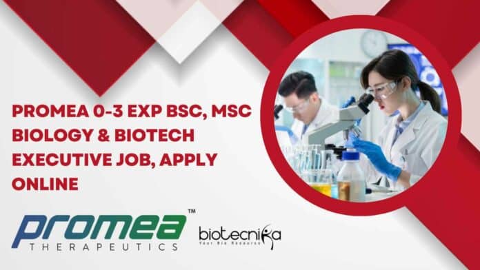 Promea Executive Jobs