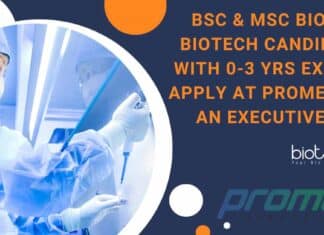 Promea Executive Vacancy