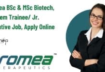 Promea Trainee Job