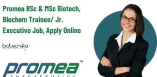 Promea Trainee Job