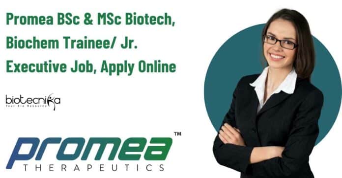 Promea Trainee Job