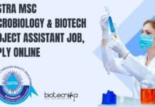 SASTRA MSc Project Vacancy