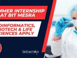 Summer Internship at BIT Mesra
