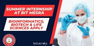 Summer Internship at BIT Mesra