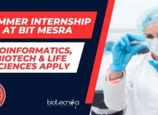 Summer Internship at BIT Mesra