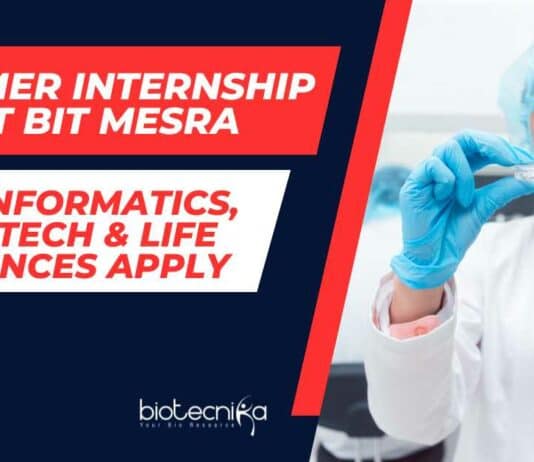 Summer Internship at BIT Mesra