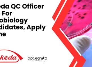 Takeda QC Officer Jobs