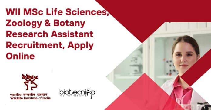 WII Research Assistant Recruitment