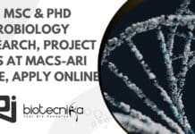 BSc, MSc & PhD Microbiology Research, Project Jobs at MACS-ARI Pune, Apply Online ARI Pune PhD Microbiology