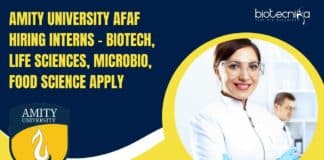 Amity University Intern Openings