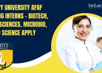 Amity University Intern Openings