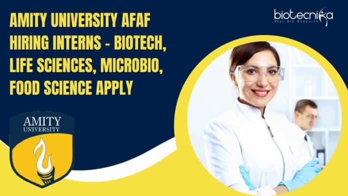 Amity University Intern Openings