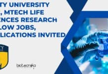 Amity University JRF Recruitment