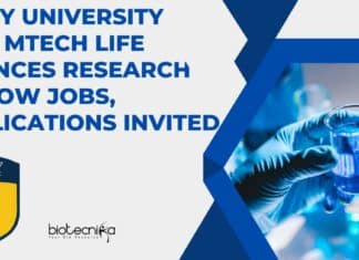 Amity University JRF Recruitment