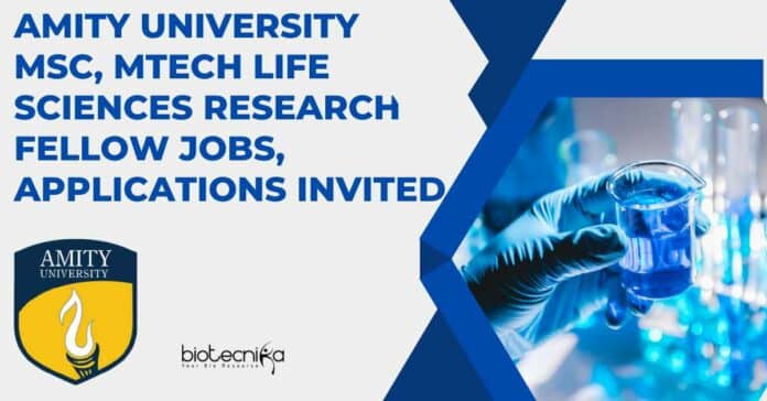 Amity University JRF Recruitment