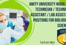 Amity University Noida Lab Technician / Technical Assistant / Lab Assistant Positions For Biological Sciences Amity University Noida Lab