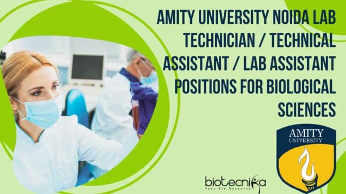 Amity University Noida Lab