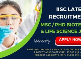 IISc Msc PhD Job