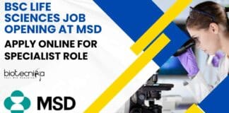 MSD BSc Life Sciences Job