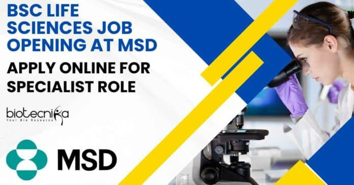 MSD BSc Life Sciences Job