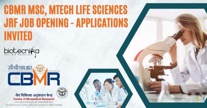 CBMR Project JRF Job