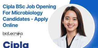 Cipla BSc Job Opening
