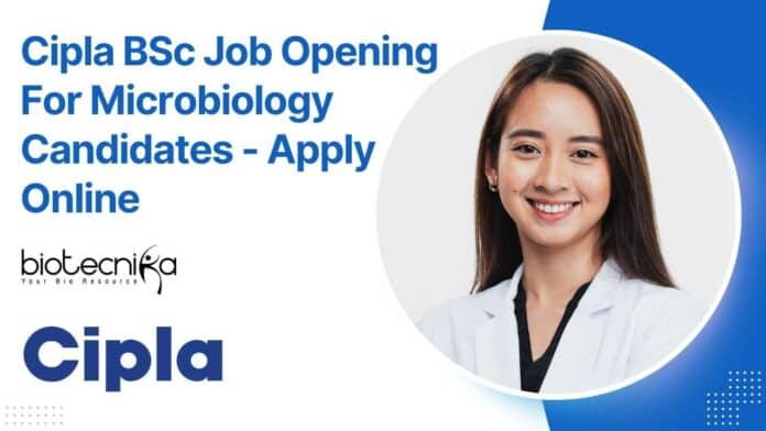 Cipla BSc Job Opening