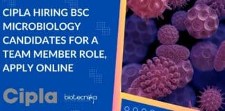 Cipla Hiring BSc Microbiology