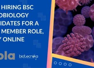 Cipla Hiring BSc Microbiology