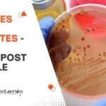 Cipla Vacancies For BSc