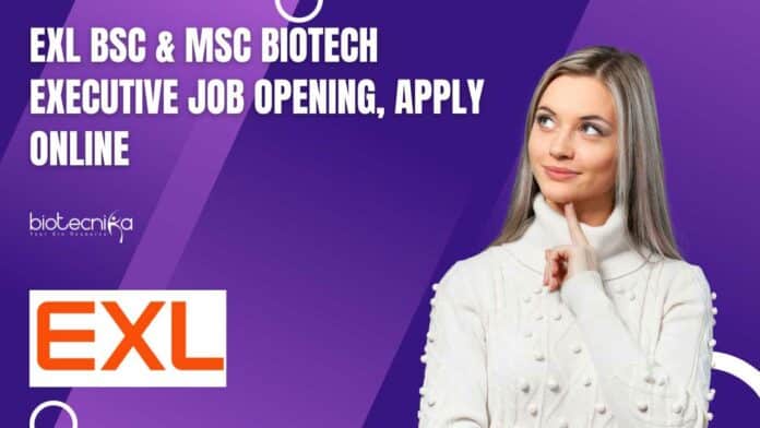 EXL BSc & MSc