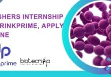 Freshers Internship at DrinkPrime