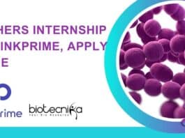 Freshers Internship at DrinkPrime
