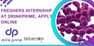 Freshers Internship at DrinkPrime