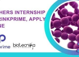 Freshers Internship at DrinkPrime