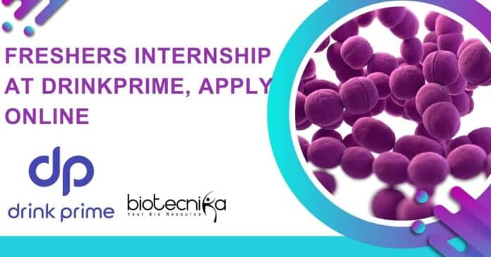 Freshers Internship at DrinkPrime