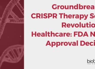 Groundbreaking CRISPR Therapy