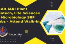 ICAR-IARI Plant