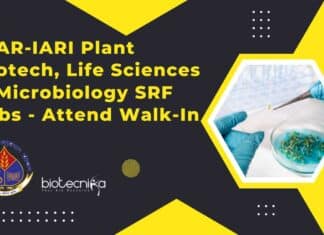 ICAR-IARI Plant