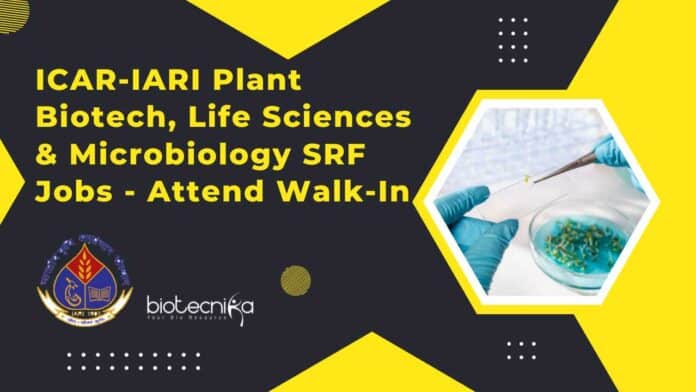 ICAR-IARI Plant