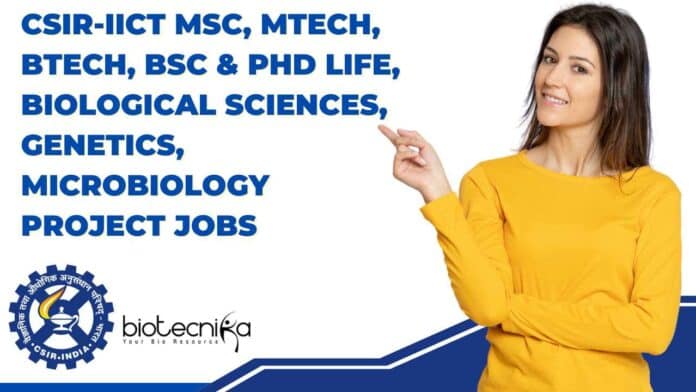 IICT Project Jobs Biotech