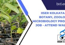 IISER Kolkata MSc Botany, Zoology & Microbiology Project Job – Attend Walk-In IISER Kolkata MSc Botany