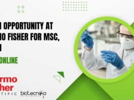 Intern Opportunity at Thermo