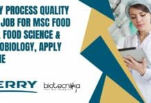 Kerry Process Quality Lead
