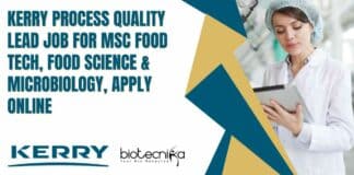 Kerry Process Quality Lead