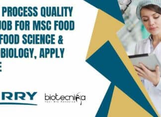 Kerry Process Quality Lead
